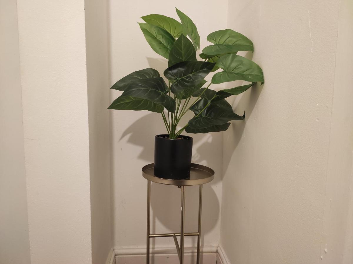 Whitchurch 1 Bedroom Apartment 卡迪夫 外观 照片
